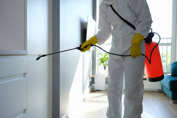 Best Residential Mold Remediation in Pleasure Point, CA
